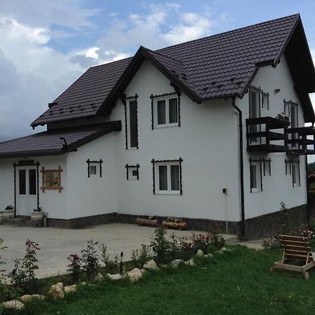 Elder Villa Bran  Exteriör bild