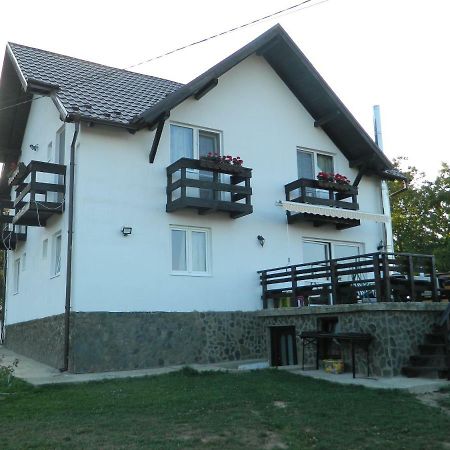 Elder Villa Bran  Exteriör bild