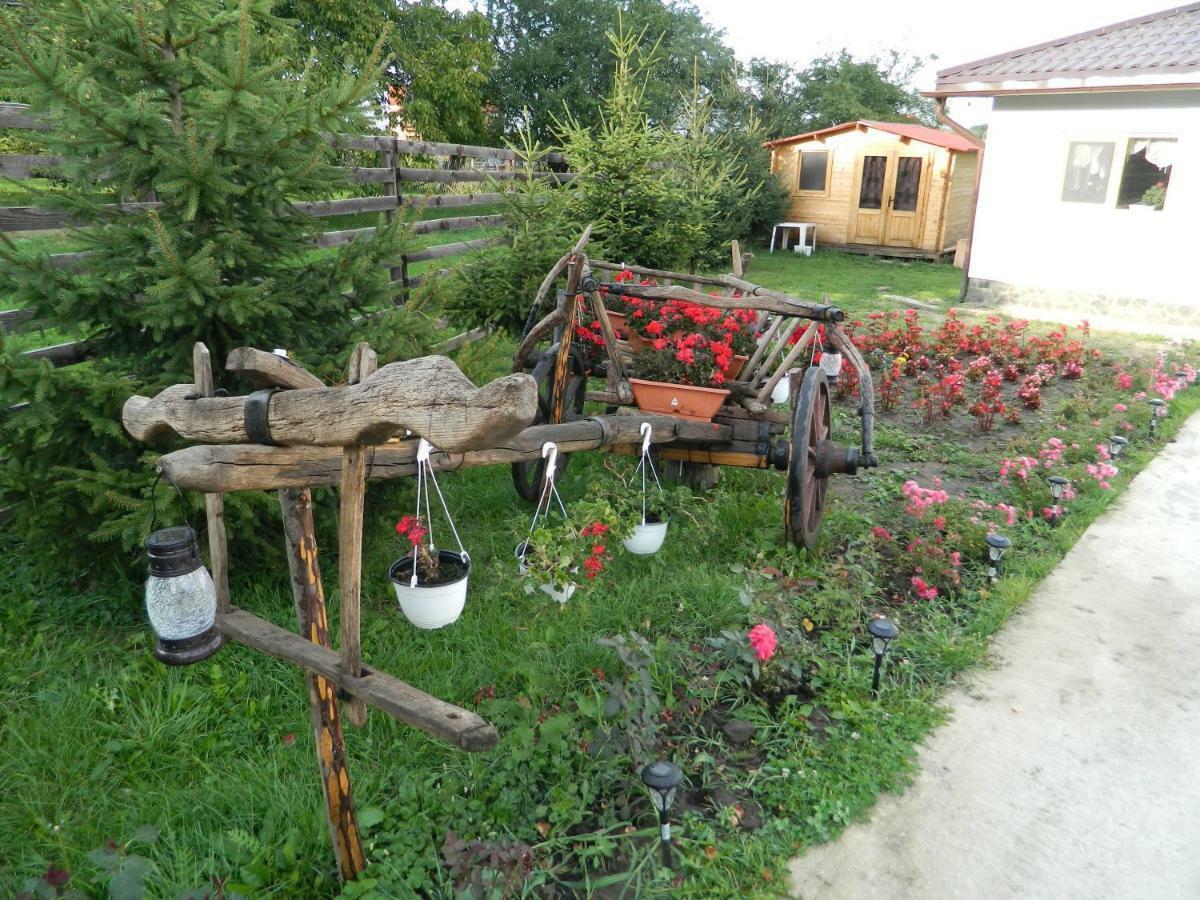 Elder Villa Bran  Exteriör bild