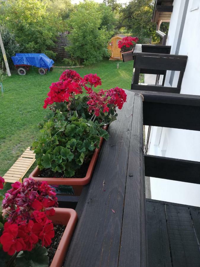 Elder Villa Bran  Exteriör bild